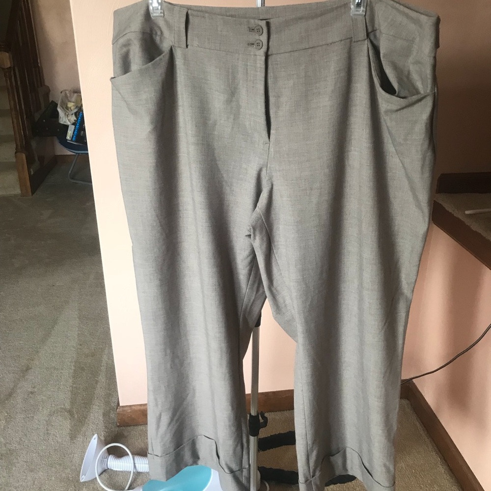 Lane Bryant plus size pants 24 Petite